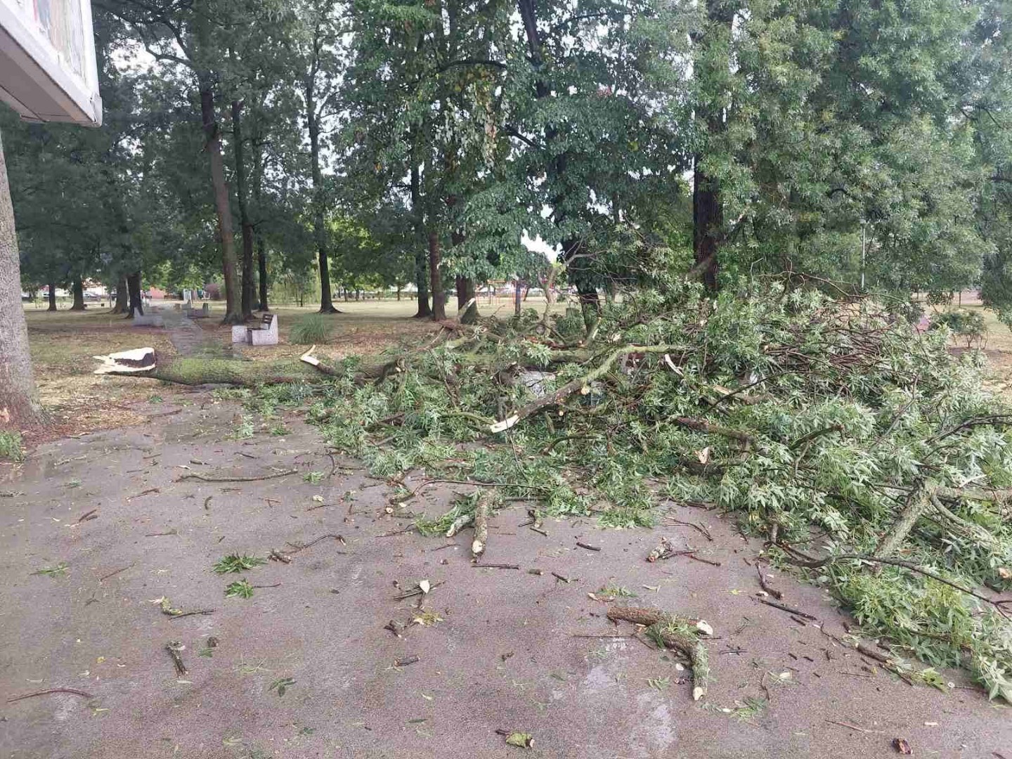 Nevrijeme pogodilo Brčko: Vjetar rušio drveće i bandere, pljuskovi širom zemlje