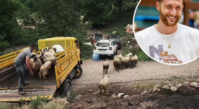 SRCE VELIKO KAO PLANINA: Jusuf Nurkić porodici iz Foče donirao cijelo stado ovaca nakon napada vukova!