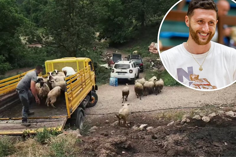 SRCE VELIKO KAO PLANINA: Jusuf Nurkić porodici iz Foče donirao cijelo stado ovaca nakon napada vukova!