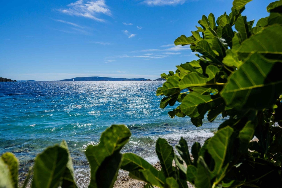 Neprimjereno ponašanje na plaži kod Zadra izazvalo reakcije građana
