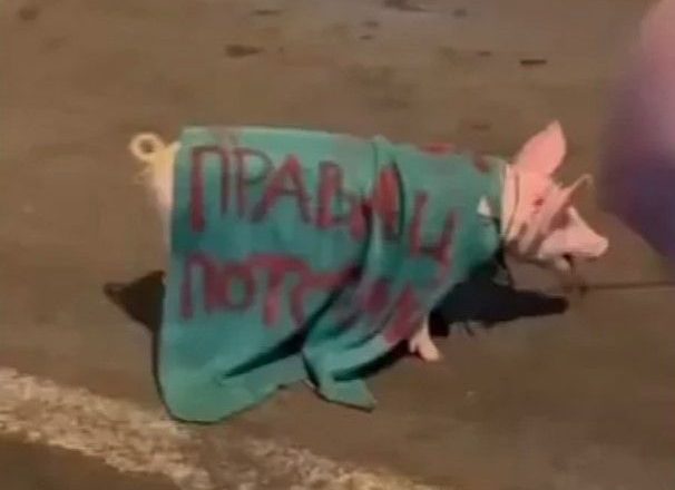 Sporna scena na protestima u Novom Sadu izazvala osude: Natpis koji podsjeća na tragediju u Srebrenici izazvao ogorčenje