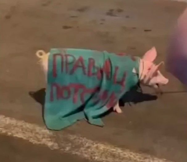 Sporna scena na protestima u Novom Sadu izazvala osude: Natpis koji podsjeća na tragediju u Srebrenici izazvao ogorčenje
