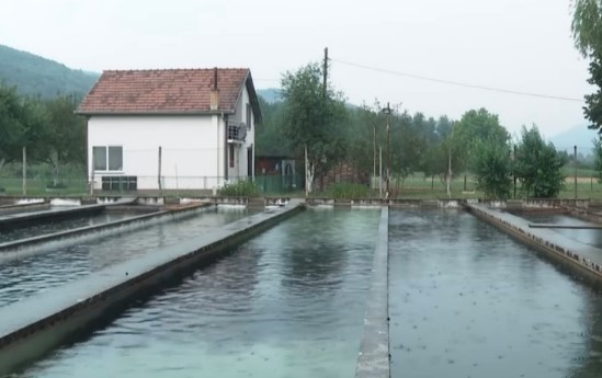 Pogledajte gdje danas živi Damir iz serije "Lud, zbunjen, normalan" Moamer Kasumović otkrio porodično imanje u Bijelom Polju