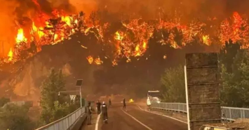 Tragedija u Turskoj: U požaru stradalo deset vatrogasaca, vjetar okrenuo vatru prema njima