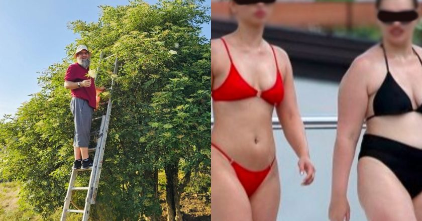 Elvedin Pezić prozvao razgolićene Bošnjakinje, vrućina nije izgovor..