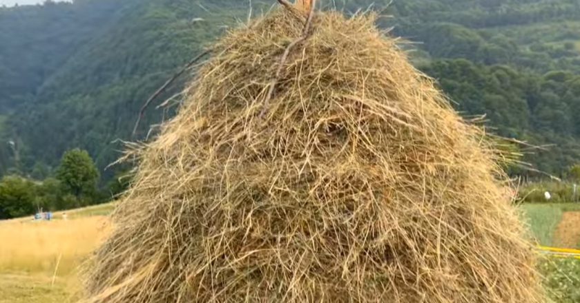 Tragedija u Beranama: Muškarac poginuo od udara groma dok je plastio sijeno