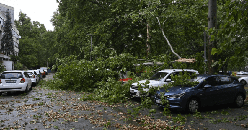 Oluja pogodila Zagreb: Pala stabla, oštećeni automobili i poremećen saobraćaj