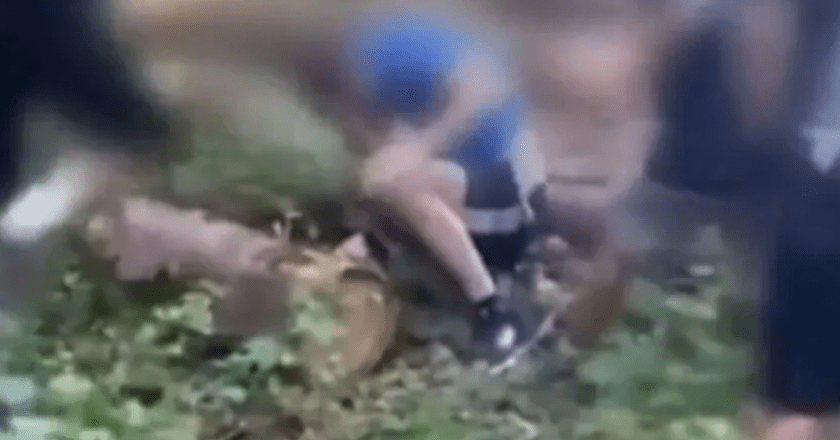 Dječaci brutalno pretukli muškarca zbog dopisivanja s njihovom drugaricom