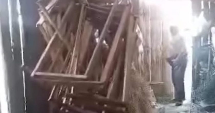 Horor u Velikoj Kladuši: Šokantni čin protiv životinje potresao zajednicu!