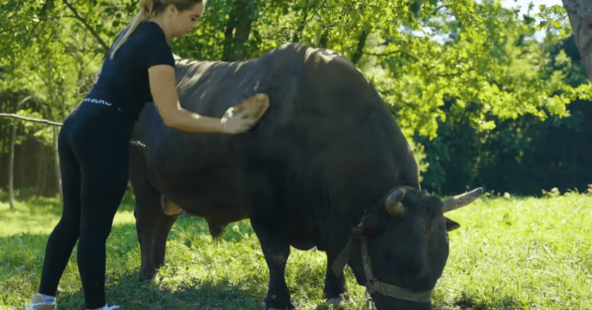 Ona je NAJMLAĐI trener bikova u BiH, a izgleda KAO MODEL! Martina iz Busovače ruši sve predrasude!