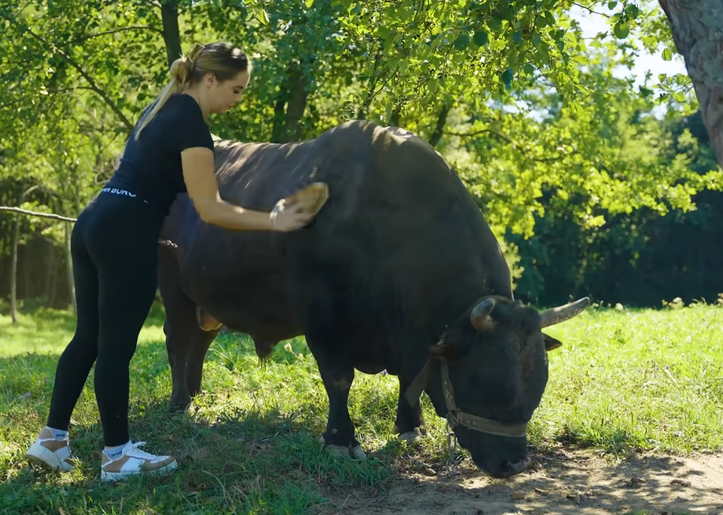 Ona je NAJMLAĐI trener bikova u BiH, a izgleda KAO MODEL! Martina iz Busovače ruši sve predrasude!