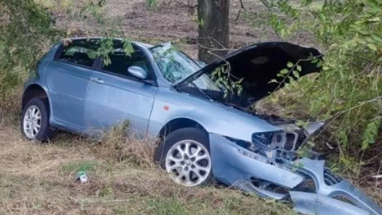 Smrdibuba izazvala nesreću: Vozačica sletjela s puta, izbjegnuta tragedija