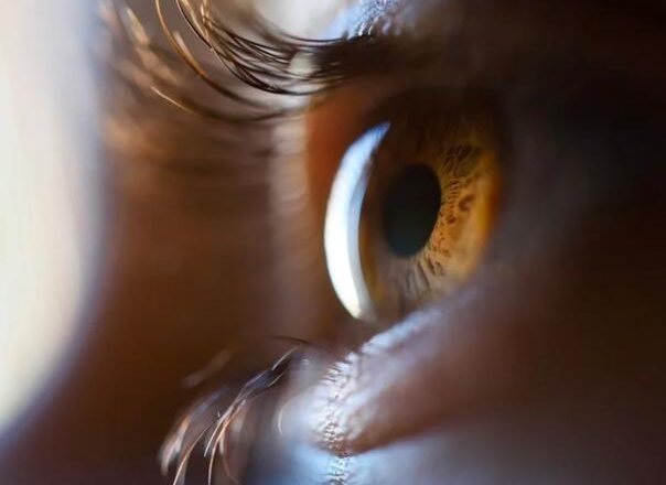 Zaboravite na mrkvu: Ovih šest namirnica su pravi spas za vaš vid