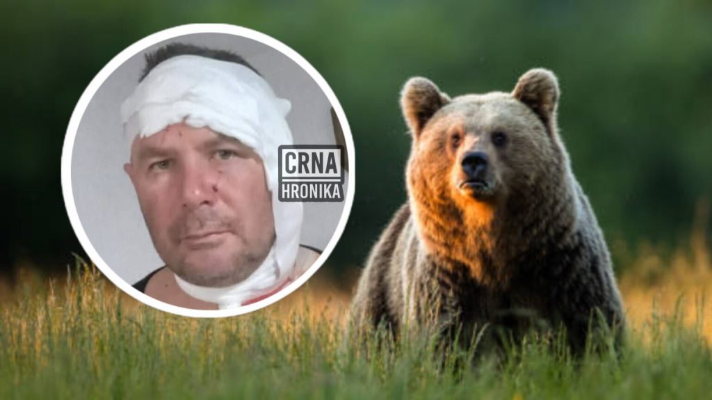 Edina napali medvjedi u šumi kod Tareva: “Jedva sam izvukao živu glavu”