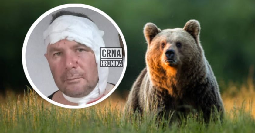 Edina napali medvjedi u šumi kod Tareva: “Jedva sam izvukao živu glavu”