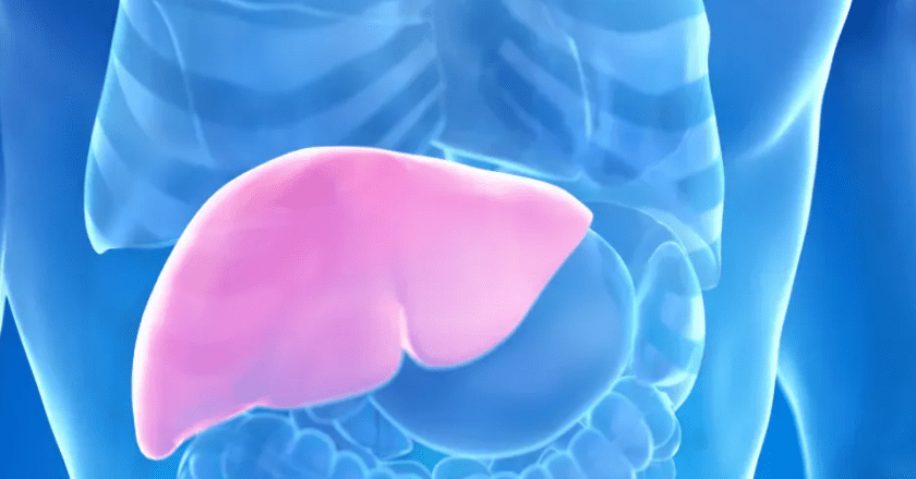 Hepatolog tvrdi da jedno voće obnavlja jetru za 7 dana