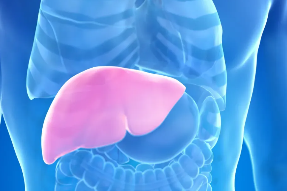 Hepatolog tvrdi da jedno voće obnavlja jetru za 7 dana