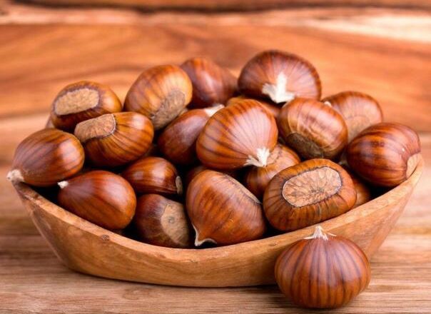 Ljudi masovno dijele otrovani recept na TikToku: Ne jedite ovo