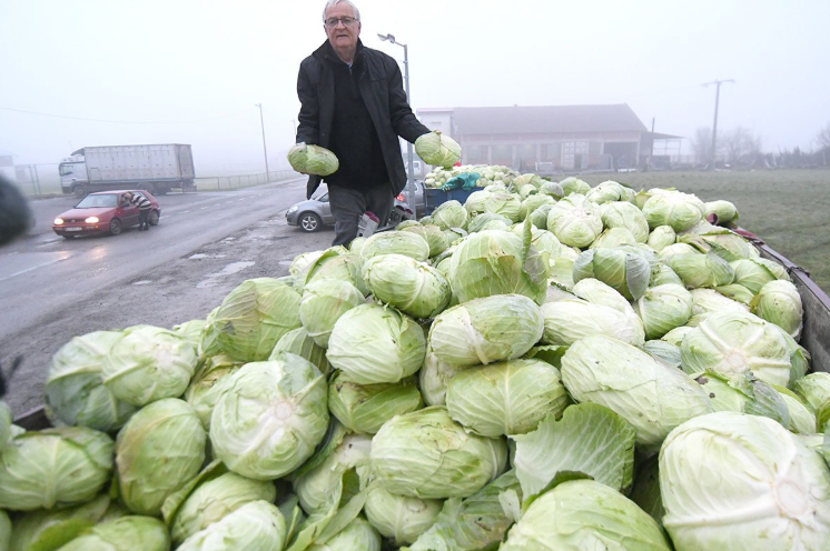 Ogorčeni ratar podijelio 10 tona kupusa: “Plače mi se od muke”