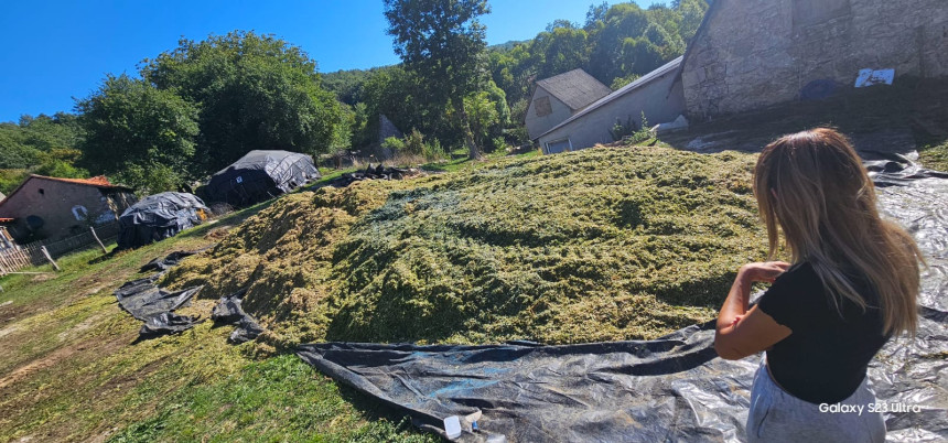 Opasnost vreba iz komšiluka: Dva puta zatrovano imanje kod Nevesinja