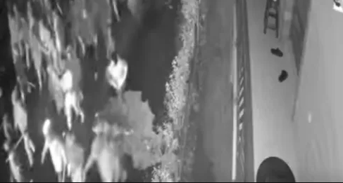 Objavljen video sačekuše: Torcida organizovano krenula u napad na Delije