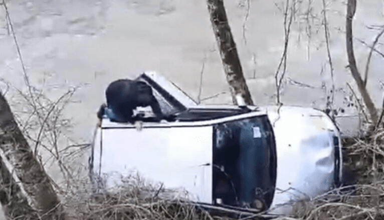 Ljudskost iznad svega: Spasio nepoznatog muškarca iz rijeke – “Od danas je moj brat”