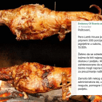 MVP BiH na meti kritika: Umjesto evakuacije, državljanima ponuđen svečani ručak