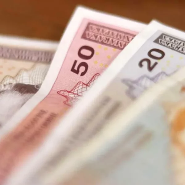 Roditelji u FBiH na dobitku: Predstavljen model univerzalnog dječjeg dodatka do 7. godine