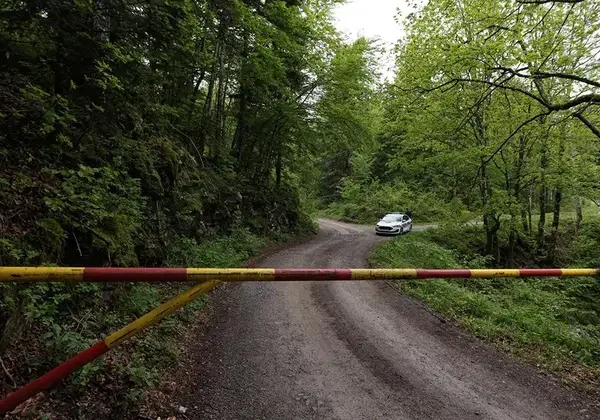 Horor u šumi: Nakon sukoba grupe ljudi pronađeno tijelo umotano u ćebe