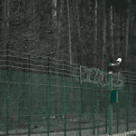 Upozorenje koje je uznemirilo region: “Prijeti scenarij bivše Jugoslavije”