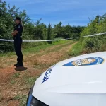 Srušio se avion u Hrvatskoj: Nekoliko osoba stradalo, ekipe na terenu