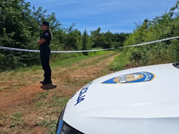 Srušio se avion u Hrvatskoj: Nekoliko osoba stradalo, ekipe na terenu