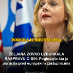 ZOVKO U EUROPSKOM PARLAMENTU OTKRILA ŠTA KOČI BiH: Poruka o europskoj budućnosti odjeknula u Bruxellesu