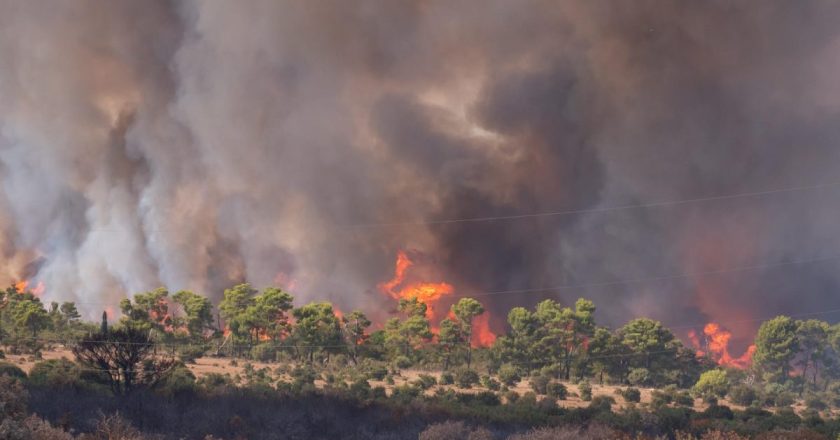 Četiri osobe uhapšene kod Benkovca: Sumnja se da su podmetale požare