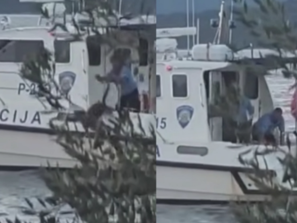 ŠTA SE ZAISTA DOGODILO? Policajca snimili kako baca psa u more, isplivali novi detalji slučaja